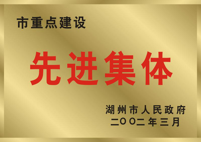 2001年度湖州市重點建設先進集體