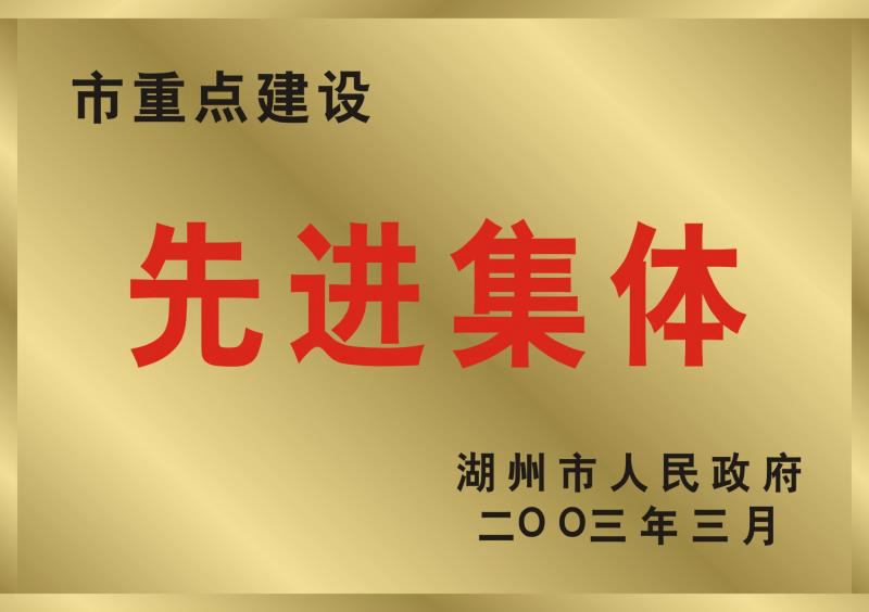 2002年度湖州市重點建設先進集體