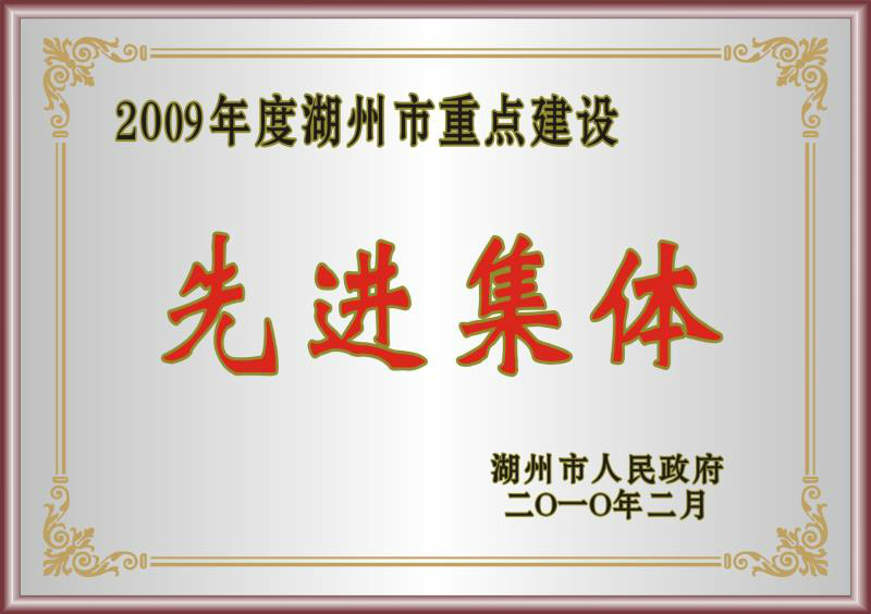 2009年度湖州市重點建設(shè)先進集體